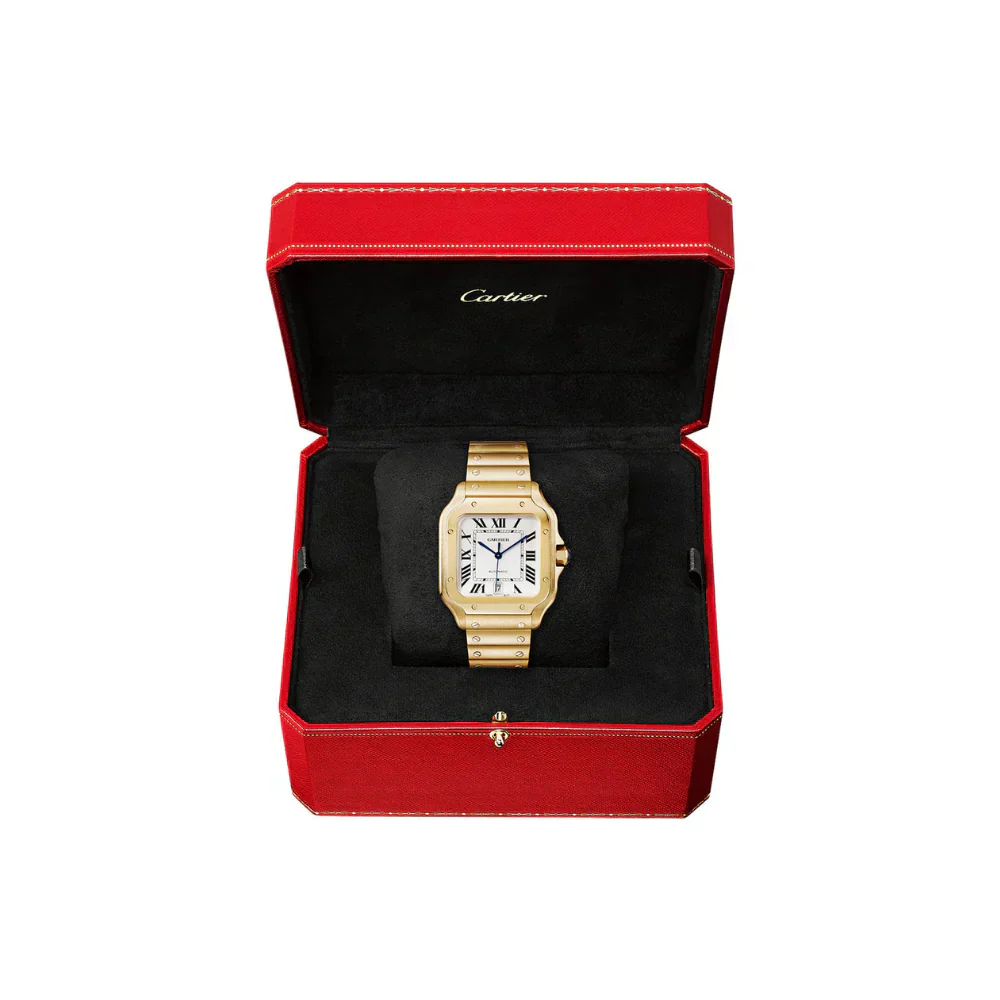 S de C Large Automatic Watch