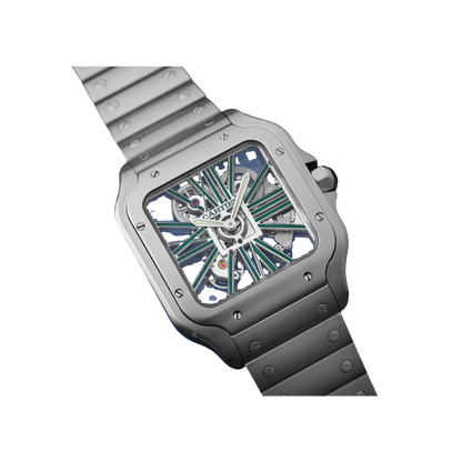 S de C Large Skeleton/Green