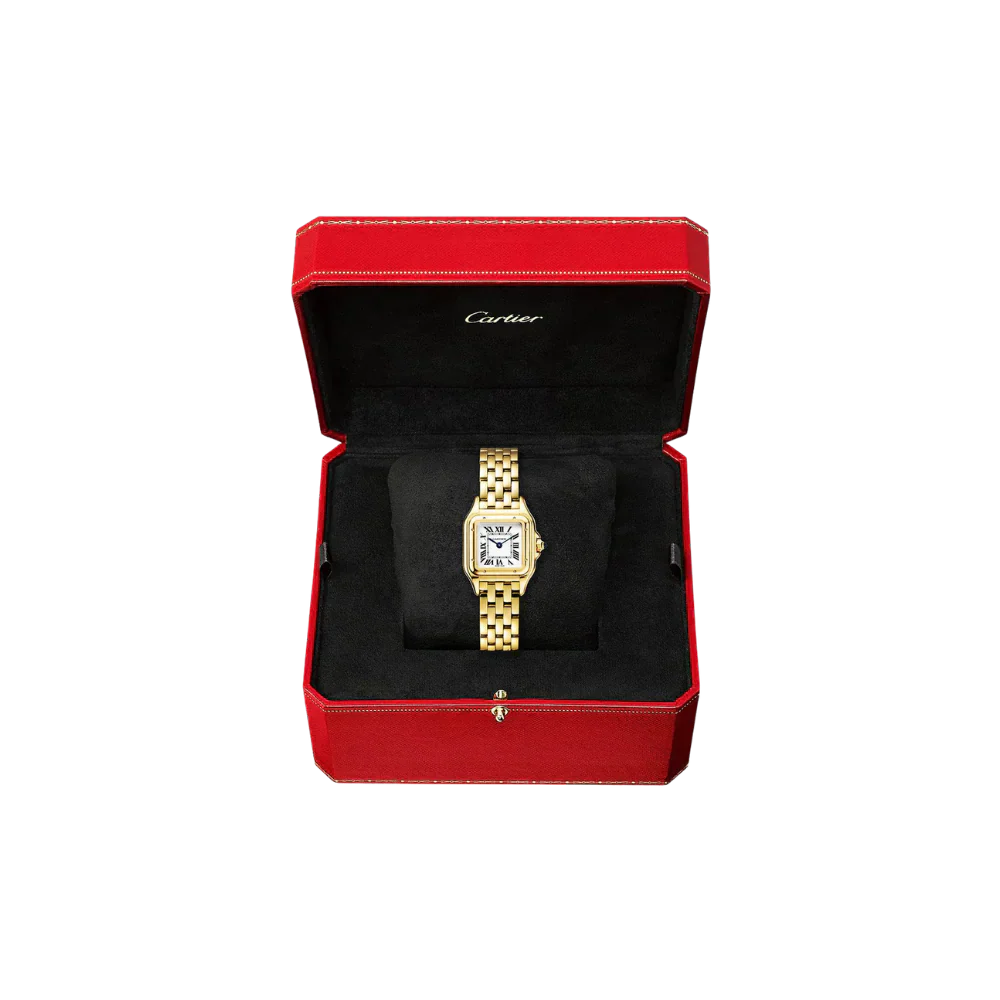 C Panthere de C W2PN0006