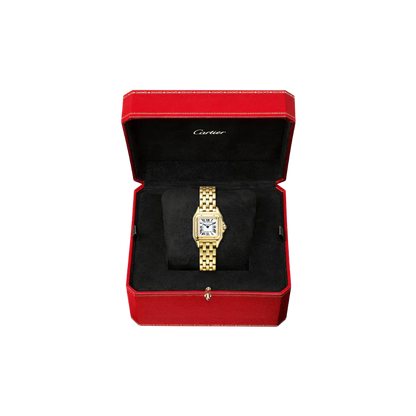 C Panthere de C W2PN0006