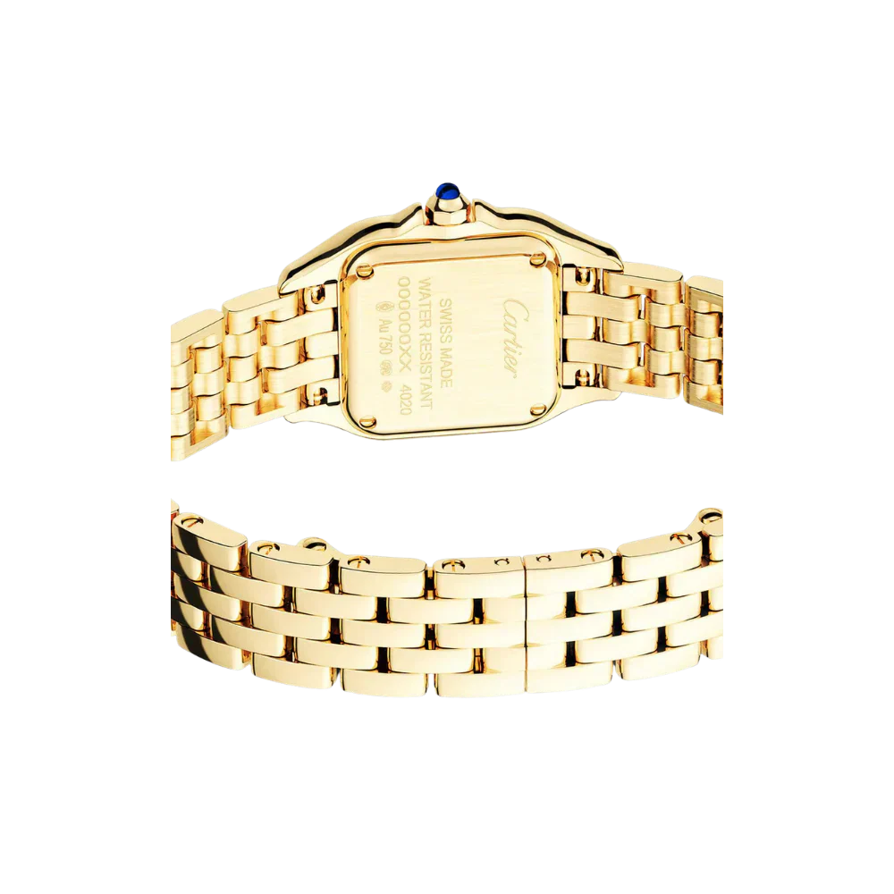 C Panthere de C W2PN0006