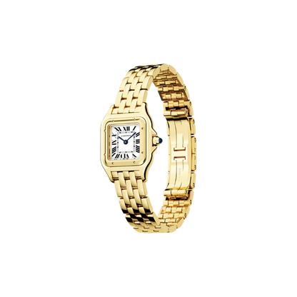 C Panthere de C W2PN0006