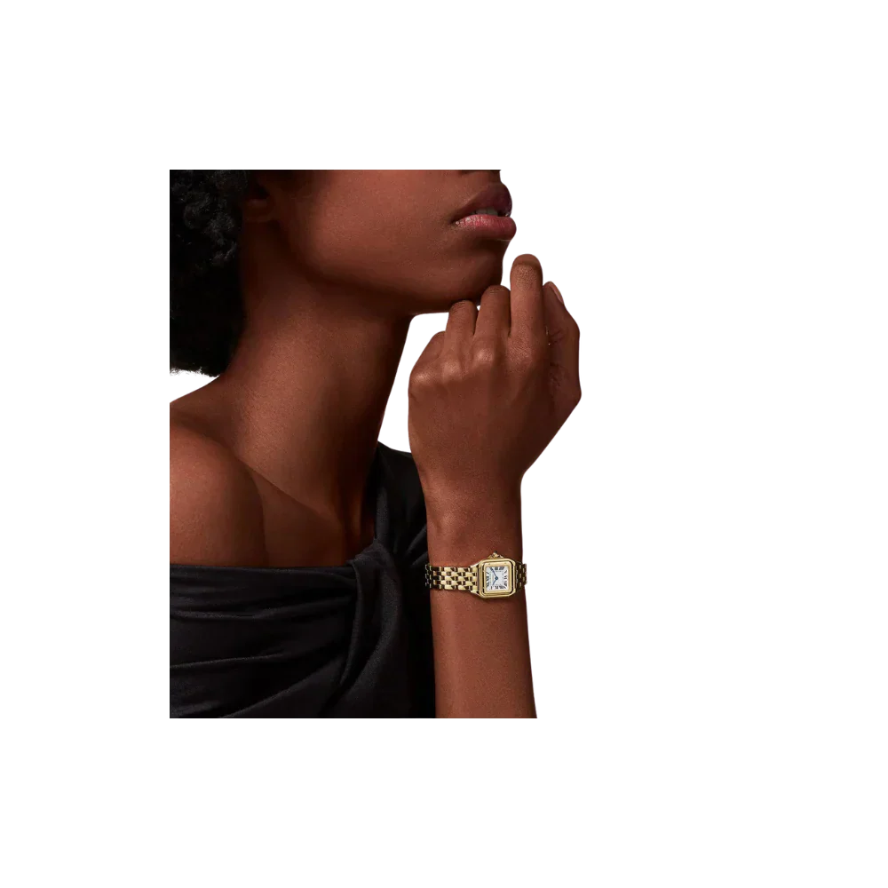 C Panthere de C W2PN0006