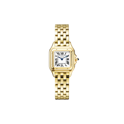 C Panthere de C W2PN0006