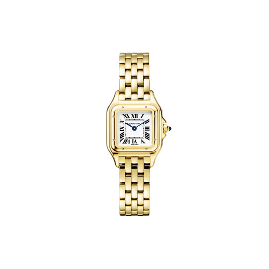 C Panthere de C W2PN0006