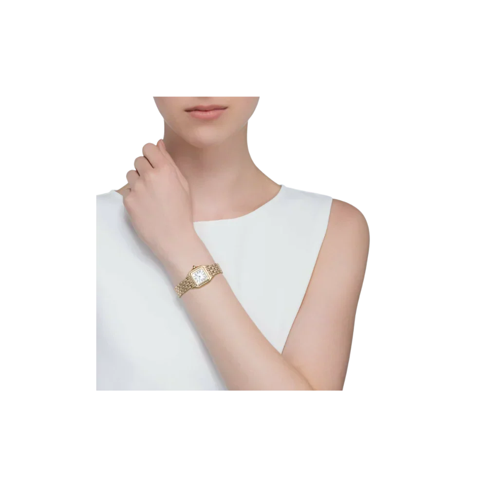 C Panthere de C W2PN0006