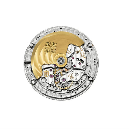 PP Complications Automatic Men's Watch 5205R-010