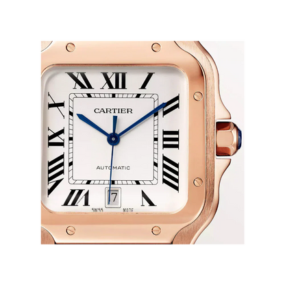 C S de C Large Automatic