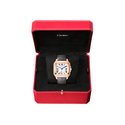 C S de C Large Automatic