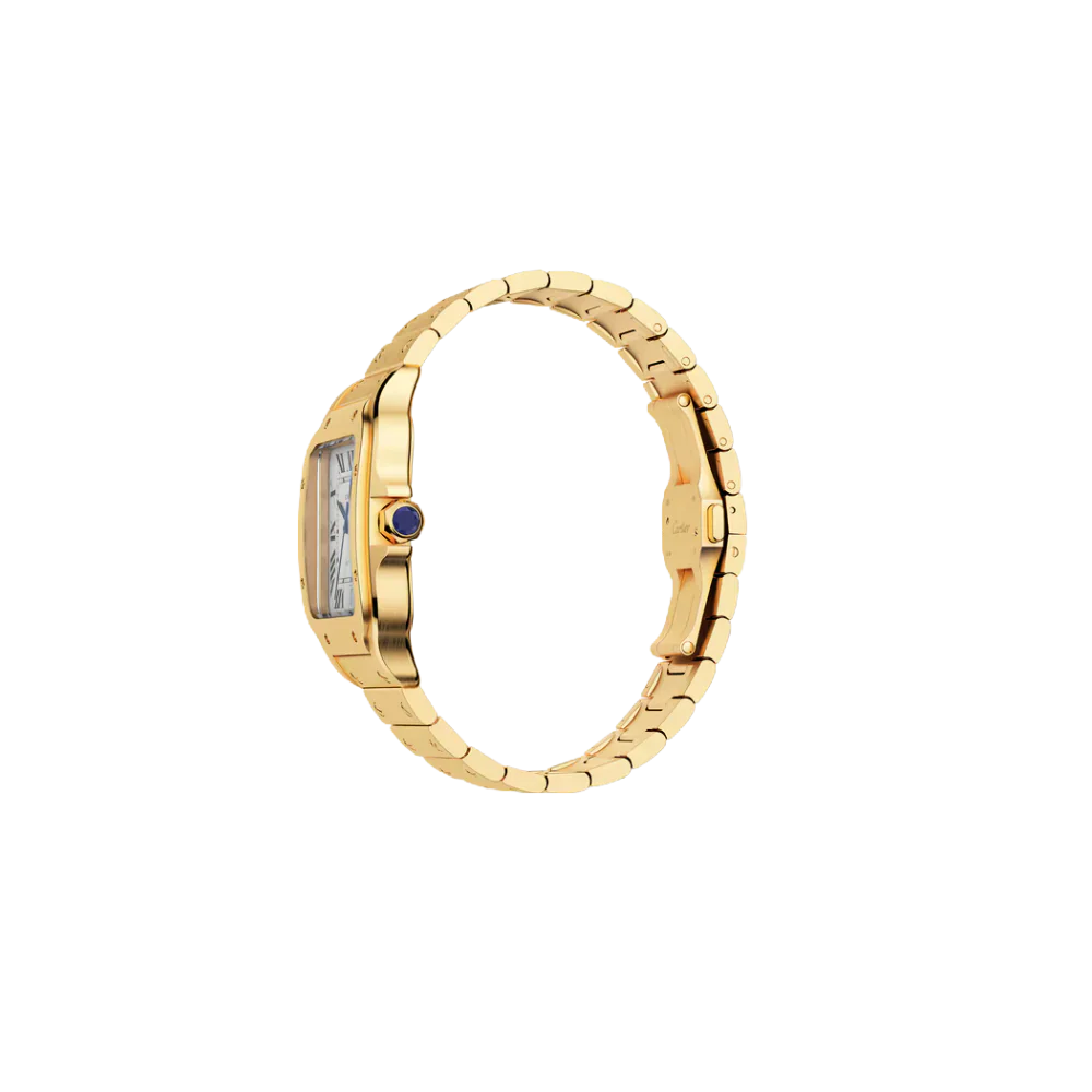 S de C Large Yellow Gold – Brown Dial