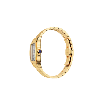 S de C Large Yellow Gold – Brown Dial