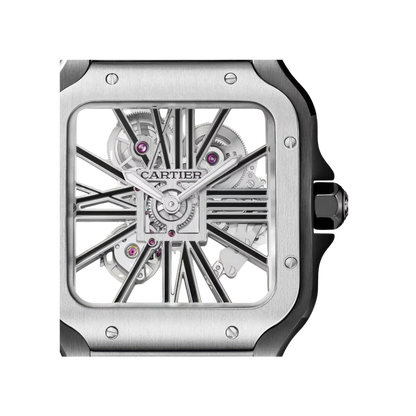 S de C Large Skeleton ADLC