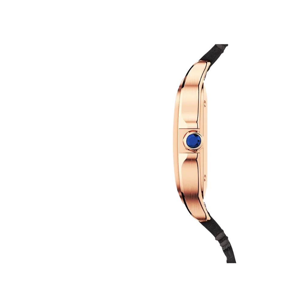 S de C Medium Automatic Gold Watch